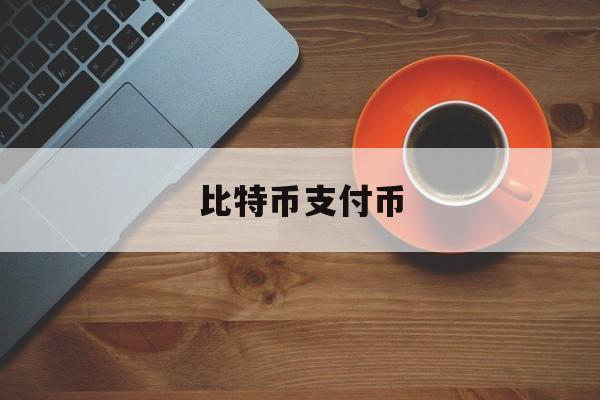 比特币支付币(比特币支付原理)